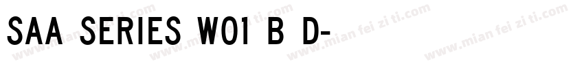 SAA series W01 B D字体转换